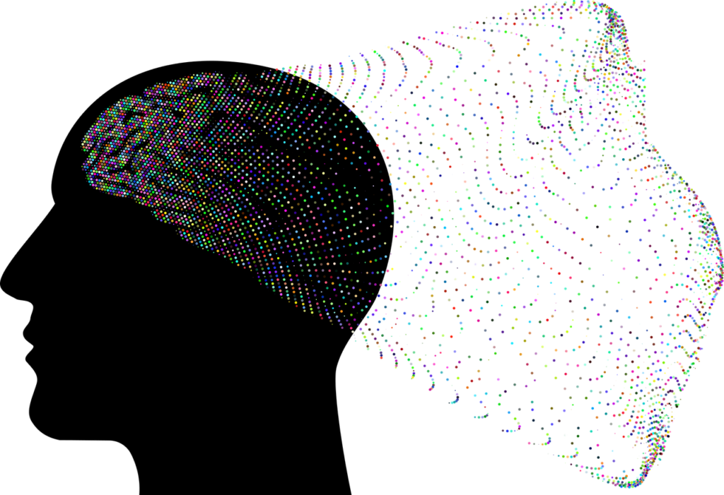 brain, organ, anatomy-8057226.jpg